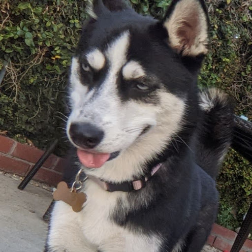 Izzy