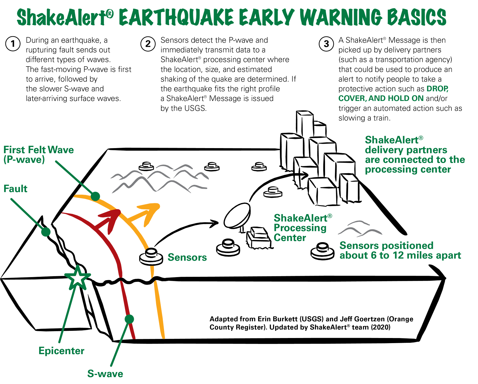 ShakeAlert Earthquake Early Warning Basics. During an earthquake, a rupturing fault sends out different types of waves. The fast-moving P-wave is first to arrive, followed by the slower S-wave and later-arriving surface waves. Sensors detect the P-wave and immediately transmit data to a ShakeAlert processing center where the location, size, and estimated shaking of the quake are determined. If the earthquake fits the right profile a ShakeAlert Message is issued by the USGS. It is then picked up by delivery partners that could be used to produce an alert to notify people to take a protective action such as Drop, Cover, and Hold On and/or trigger an automated action such as slowing a train.