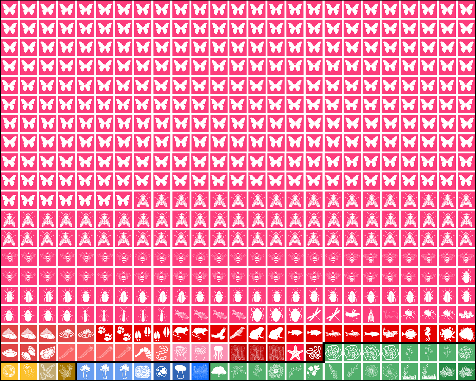 Coloured blocks with icons of different species 